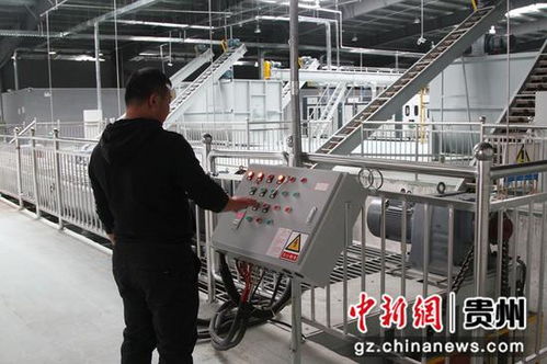 探秘中国首座白参菌全智能化工厂 自主知识产权引领食用菌产业革命