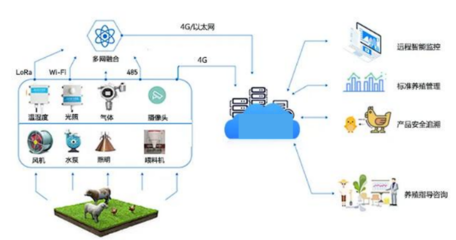 养殖与种植项目 实现农业智能化与高效化的新途径